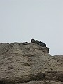IMG_3005