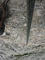 IMG_3013
