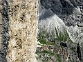 IMG_3027