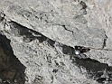 IMG_8768