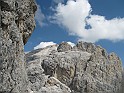 IMG_8775