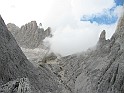 IMG_8790