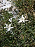 IMG_6047
