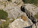 IMG_6058
