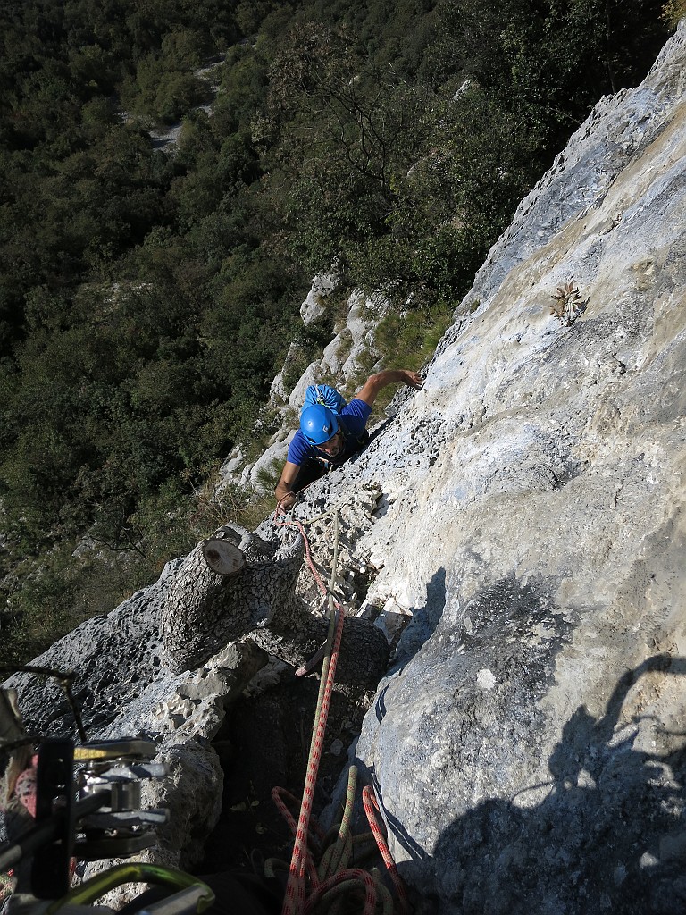 IMG_9378.JPG