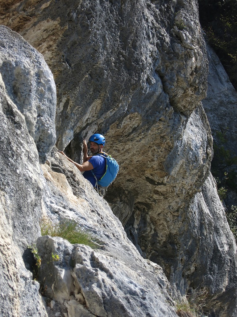 IMG_9379.JPG