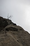 IMG_0931