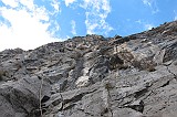 IMG_0942