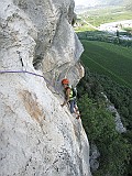 IMG_8981