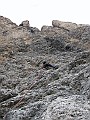 IMG_1017