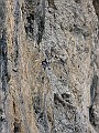 IMG_1033