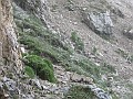 IMG_1046