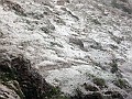 IMG_1049