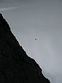 IMG_1050