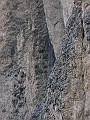 IMG_1054