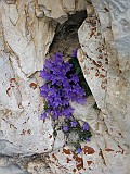 IMG_1723