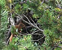 IMG_8713