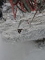 IMG_8738