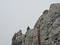 IMG_8749