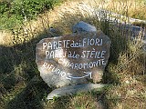 IMG_1190