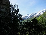 IMG_2481