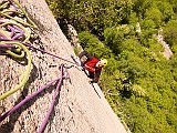 IMG_2489