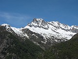 IMG_2491