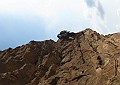 IMG_3316
