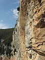 IMG_3321