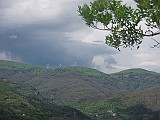 P5011274