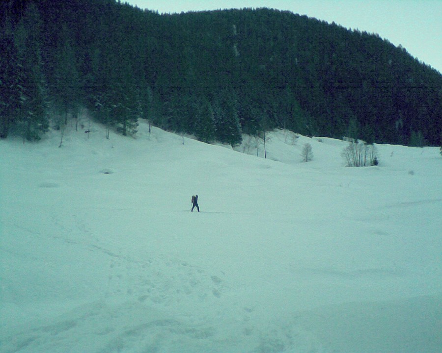 Immag040.jpg - Peccato aver dimenticato la macchina fotografica ! Le poche foto fatte col telefonino non rendono l'idea dell'ambiente !