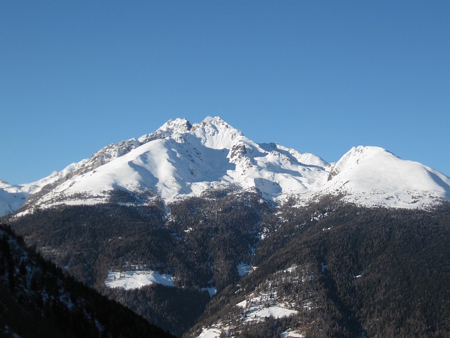 IMG_1136.JPG - Splrndida giornata anche oggi