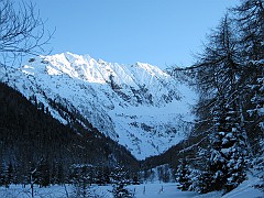 IMG_1137