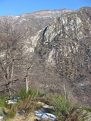 IMG_2116