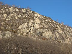 IMG_2129