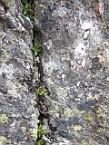 IMG_0041