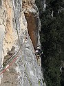 IMG_7332