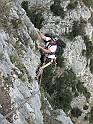 IMG_7347