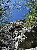 IMG_4684