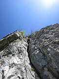 IMG_4693
