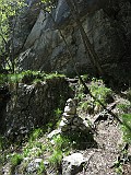IMG_4705