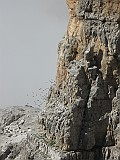 IMG_0902
