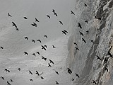 IMG_0905