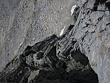 IMG_7548