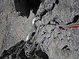 IMG_7549