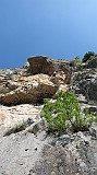 IMG_2407