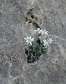 IMG_0939