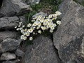 IMG_0953