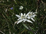 IMG_5777