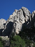 IMG_5787
